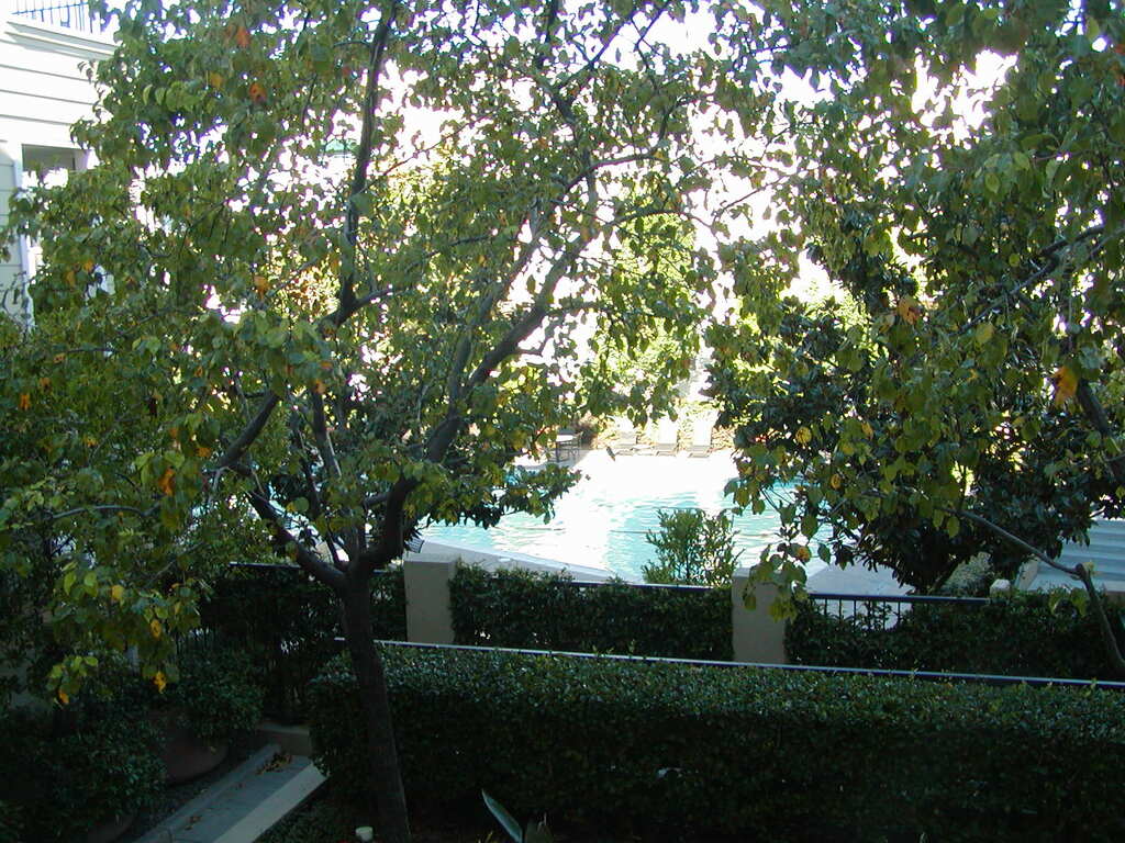 No description provided for: /2007/10-12/1021-hamptons/photo06.html