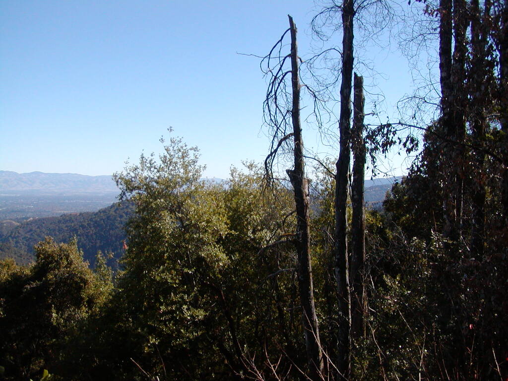 No description provided for: /2007/10-12/1021-heather-heights/photo02.html