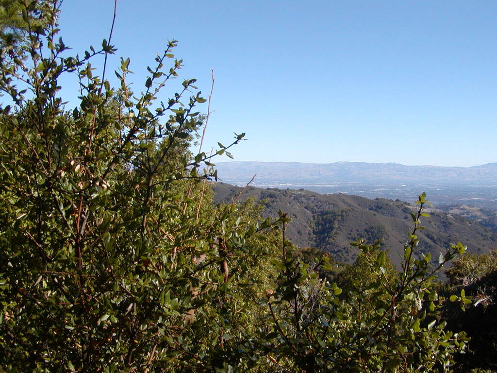 No description provided for: /2007/10-12/1021-heather-heights/photo04.html