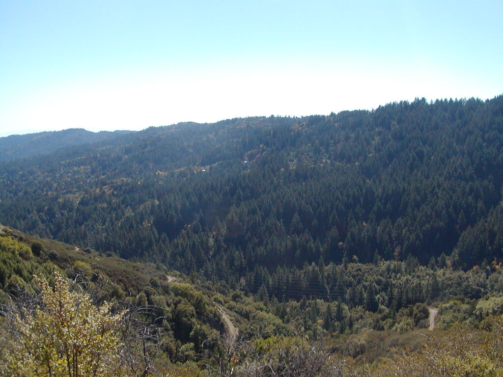 No description provided for: /2007/10-12/1021-mcgill/photo03.html