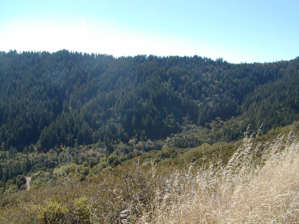 No description provided for: /2007/10-12/1021-mcgill/photo04.html