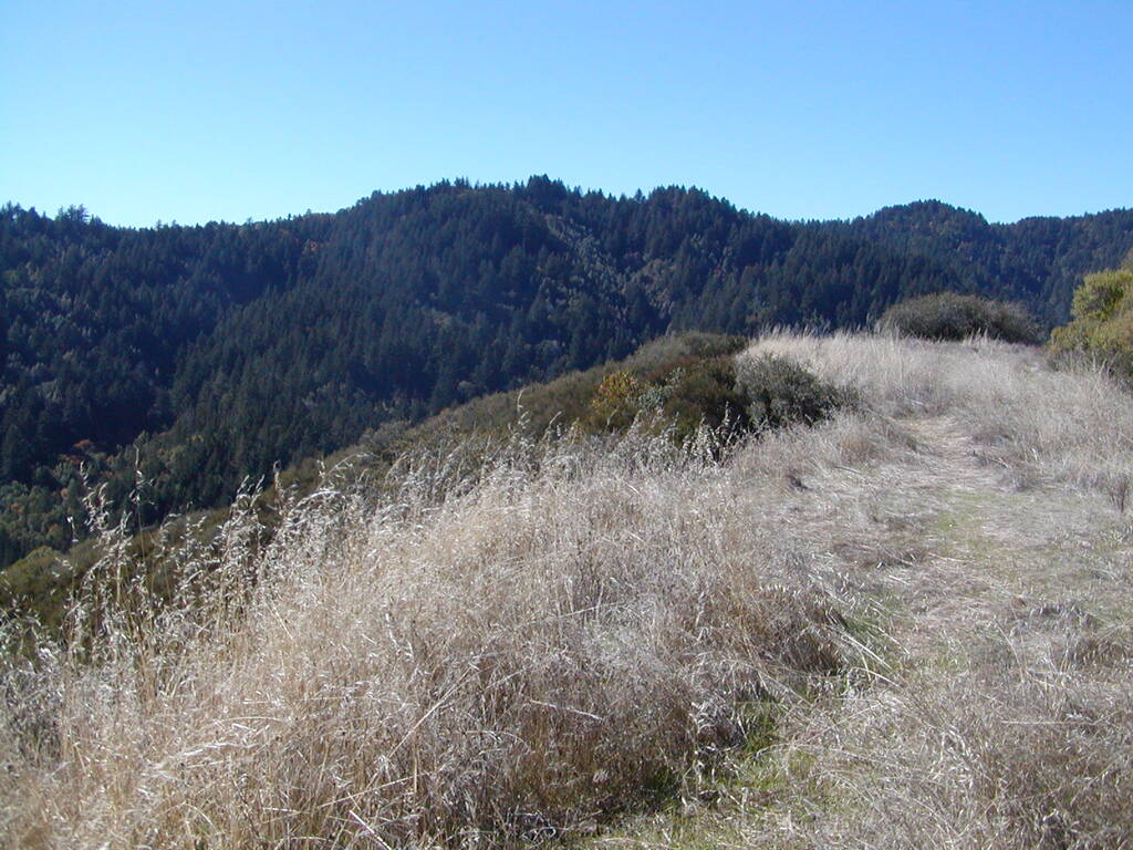 No description provided for: /2007/10-12/1021-mcgill/photo05.html