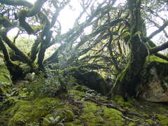 Image file: photo02.jpg