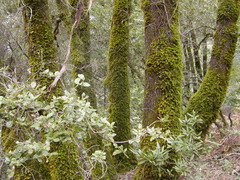 Image file: photo04.jpg