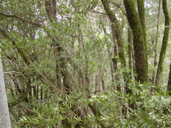 Image file: photo05.jpg