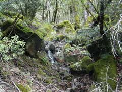 Image file: photo06.jpg