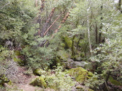 Image file: photo07.jpg