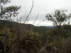 Image file: photo09.jpg