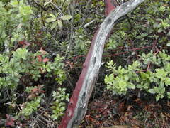 Image file: photo11.jpg