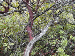 Image file: photo12.jpg