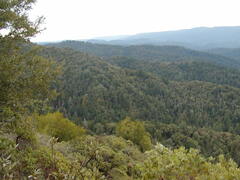 Image file: photo13.jpg