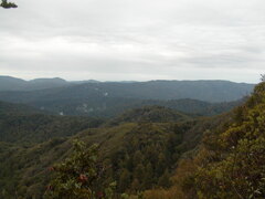 Image file: photo16.jpg