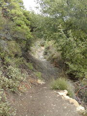 Image file: photo18.jpg