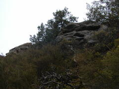 Image file: photo21.jpg