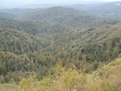 Image file: photo23.jpg