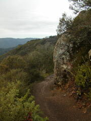 Image file: photo24.jpg