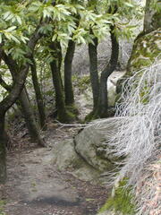 Image file: photo25.jpg