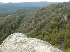 Image file: photo31.jpg