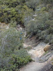 Image file: photo36.jpg