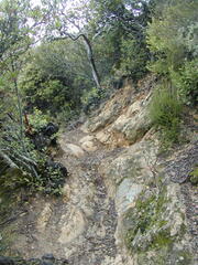 Image file: photo40.jpg