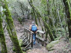 Image file: photo41.jpg