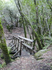 Image file: photo42.jpg