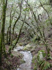 Image file: photo43.jpg