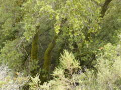 Image file: photo46.jpg