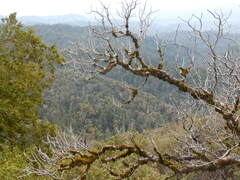 Image file: photo47.jpg