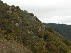 Image file: photo48.jpg