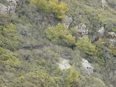 Image file: photo49.jpg