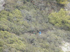 Image file: photo50.jpg