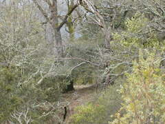 Image file: photo51.jpg