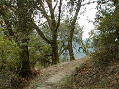 Image file: photo52.jpg