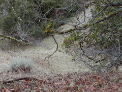 Image file: photo53.jpg