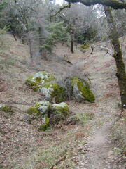 Image file: photo56.jpg