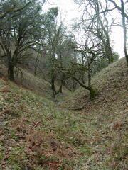 Image file: photo57.jpg