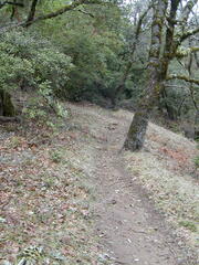 Image file: photo60.jpg