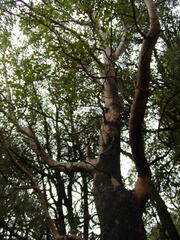 Image file: photo61.jpg