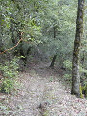 Image file: photo62.jpg