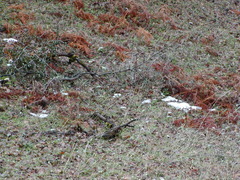 Image file: photo63.jpg