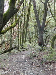 Image file: photo65.jpg