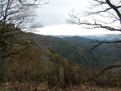 Image file: photo66.jpg