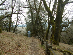 Image file: photo67.jpg