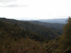 Image file: photo74.jpg