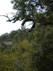 Image file: photo76.jpg