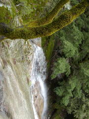 Image file: photo80.jpg