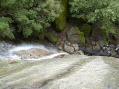 Image file: photo81.jpg