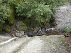 Image file: photo82.jpg