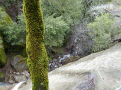 Image file: photo83.jpg